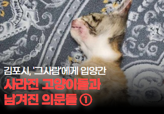 [동물 학대] 그 사람에게 입양간 사라진 고양이들과 남겨진 의문들 ①