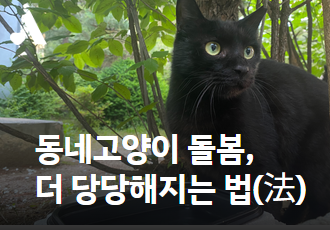 [참가모집] 동네고양이 돌봄, 더 당당해지는 법(法)