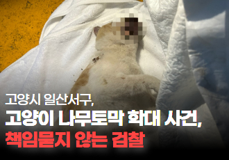 [동물 학대] 고양시, 고양이 나무토막 사건, 책임묻지 않는 검찰