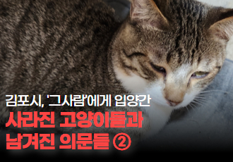 [동물 학대] 그 사람에게 입양간 사라진 고양이들과 남겨진 의문들 ②