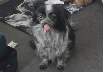 크루와 3주년이에요!