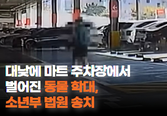 [동물 학대] ‘JTBC 사건반장’ 미성년자 개 학대 사건, 소년부 법원 송치