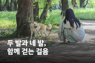 두 발과 네 발, 함께 걷는 걸음