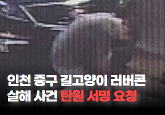 [동물 학대] 인천 중구, 삼색이 러버콘 살해 사건 