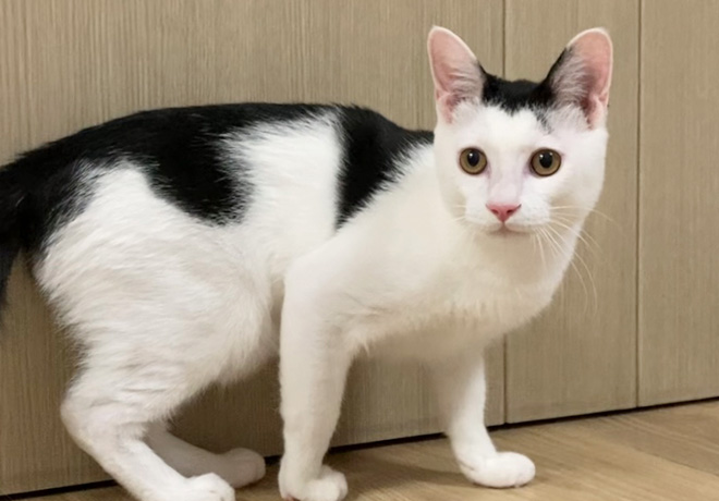 [C25-32 관외] 가족을 기다리는 '그리'