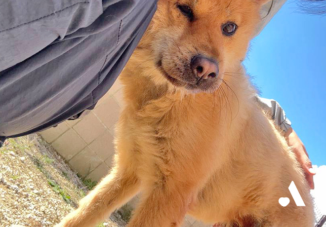 [오늘의 온센터] 통통이만의 애정표현