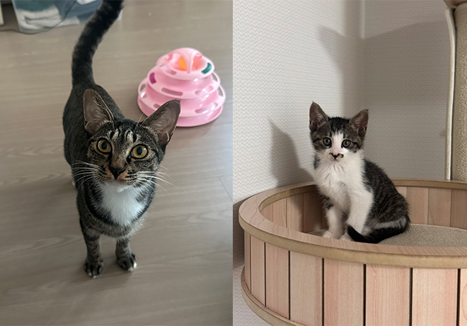 [C25-27 관외] 가족을 기다리는 '룽지'와 '리리'