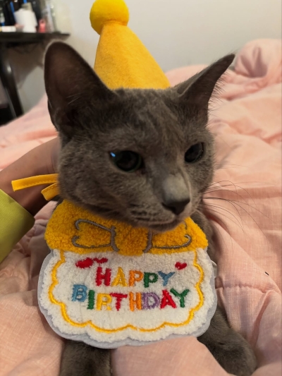 개그맨 박민성 팬분의 후원