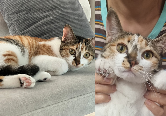 [C25-30 관외] 가족을 기다리는 '아르'