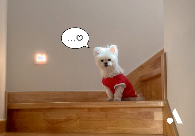 [입양 캠페인] 입양 홍보대사 자랑합니다!