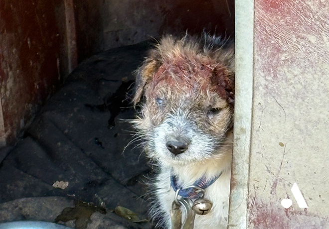 세온이에게 세상의 온기를 알려주세요!