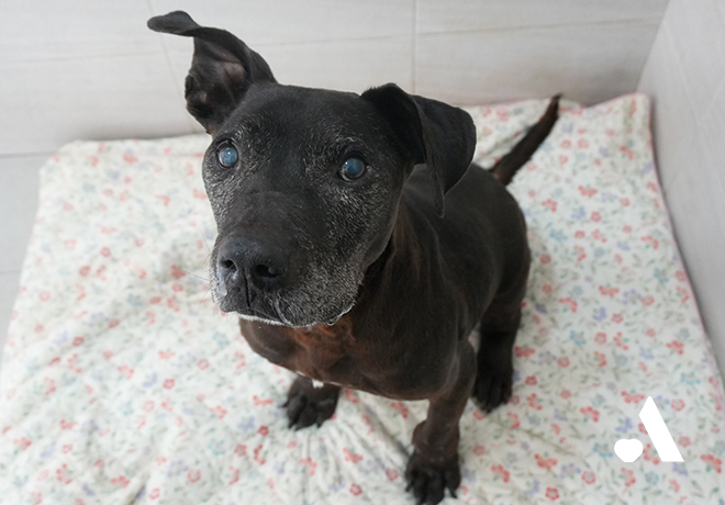 [건강소식] 두유의 건강소식 전해드립니다.