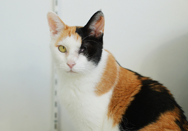 큰 세상을 바라보는 ‘하나’