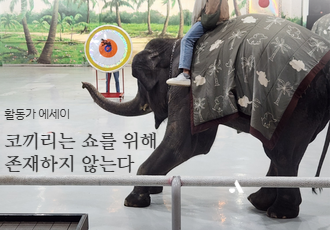[활동가 에세이] 코끼리는 쇼를 위해 존재하지 않는다