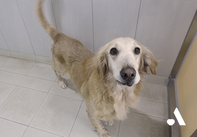 [건강소식] 리프의 건강소식 전해드립니다.