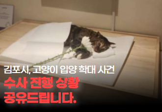 [동물 학대] 김포 고양이 입양 학대 사건, 수사 과정 공유