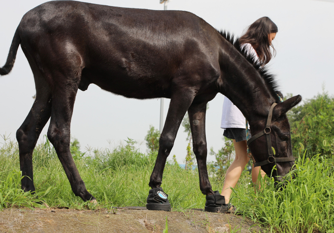 [보고플 때 뿌리어때!] 뿌리테라피 참가자 발표