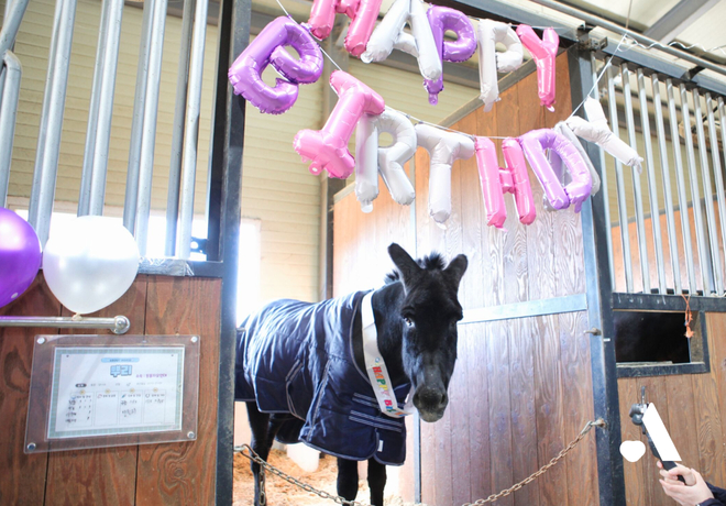 🎂뿌리의 생일 파티