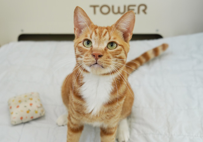 함께하는 삶을 꿈꾸는 ‘다옹이’