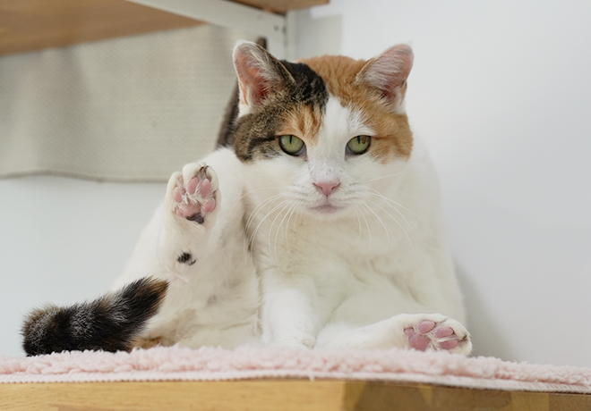 두려운 것이 많지만 좋아하는 것은 더 많은 ‘순정이’