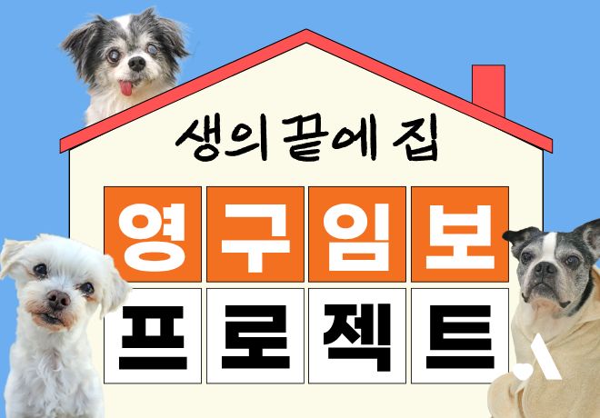 영구 임시보호 프로젝트 <생의 끝에 집>