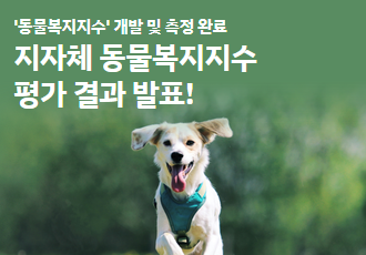 '동물복지지수' 개발 및 측정 완료! 지자체 동물복지지수 평가 결과를 발표합니다.