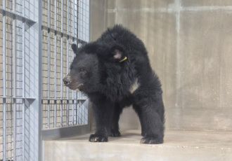 <‘구례 곰 마루쉼터’ 개소> 더 나은 삶을, 잠시 뿐이라 해도
