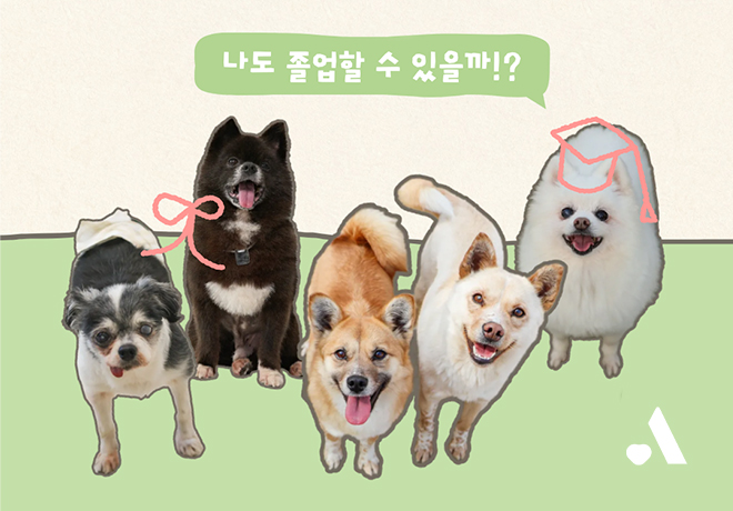 [입양행사] 2025 온독 졸업반을 소개합니다!