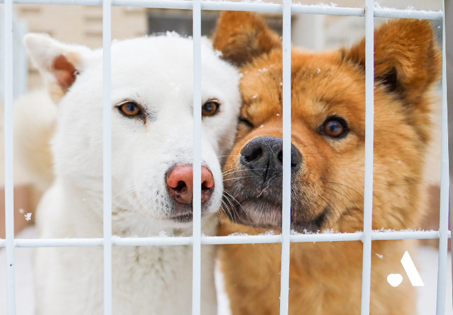 [봉사] 2026년 2월, 정기봉사자를 모집합니다!✨