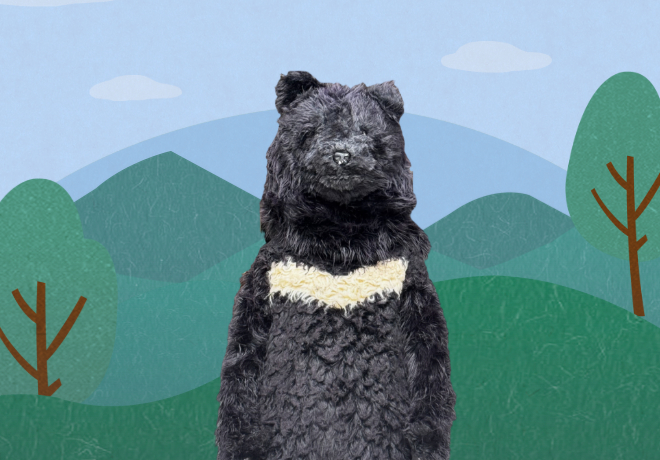 [THE FINAL 사생결단] 곰돌이의 새 집을 찾아서