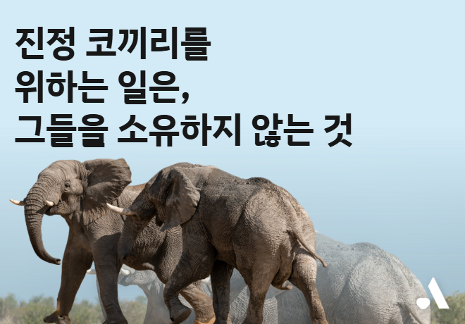 진정 코끼리를 위하는 일은, 그들을 소유하지 않는 것