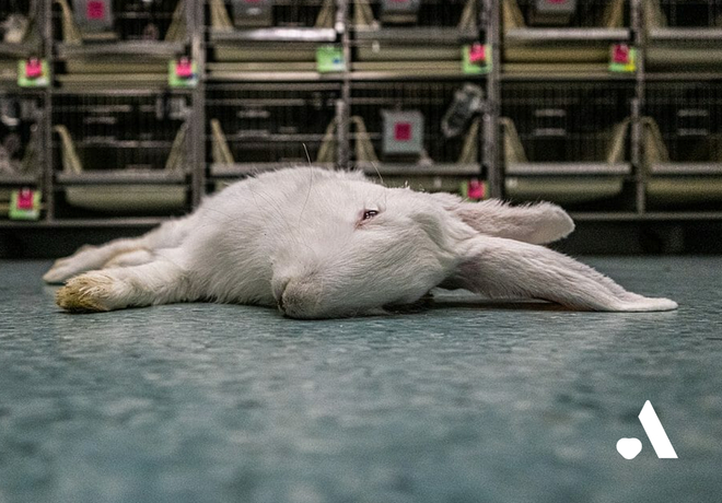 고통 위에 세워진 우리의 일상