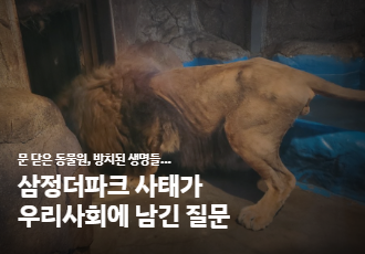 문 닫은 동물원, 방치된 생명들...삼정더파크 사태가 우리사회에 남긴 질문