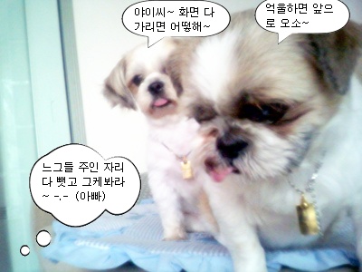 오늘 이놈들을 보니깐...