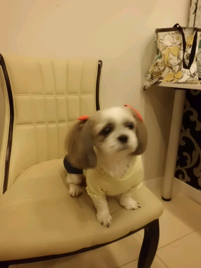 웨딩촬영 했어요~