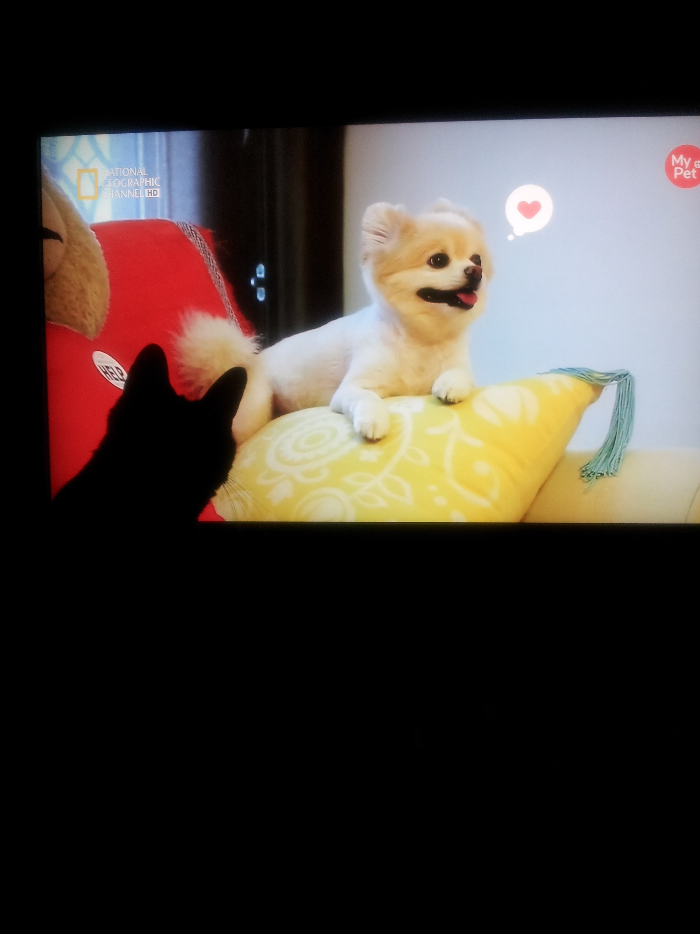 마야->깜놀->잭슨...-_-;;