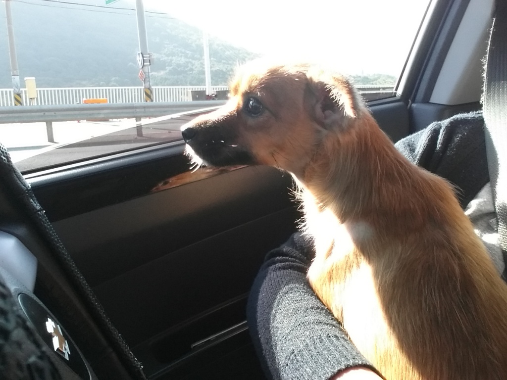 치노가 가족된지 3개월~~^^