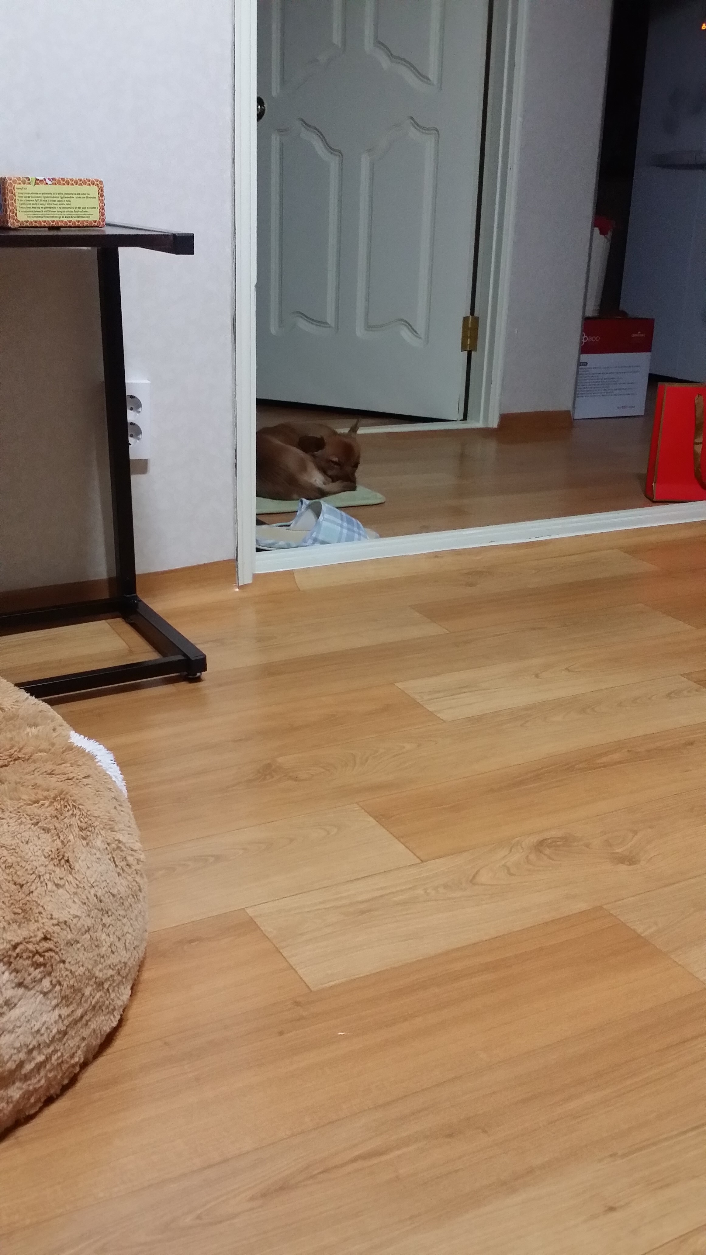 치노가 가족된지 3개월~~^^