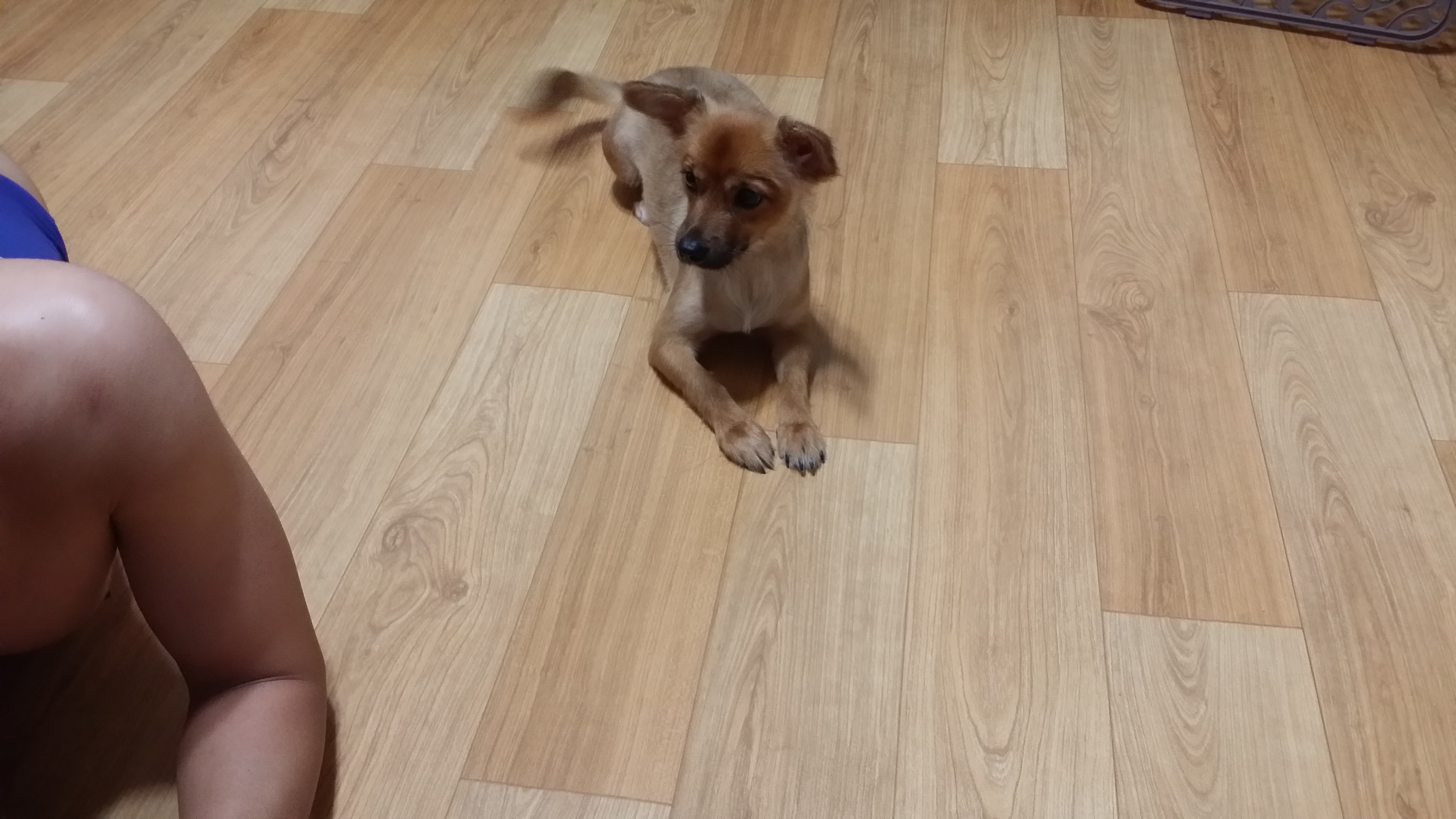 치노가 가족된지 3개월~~^^