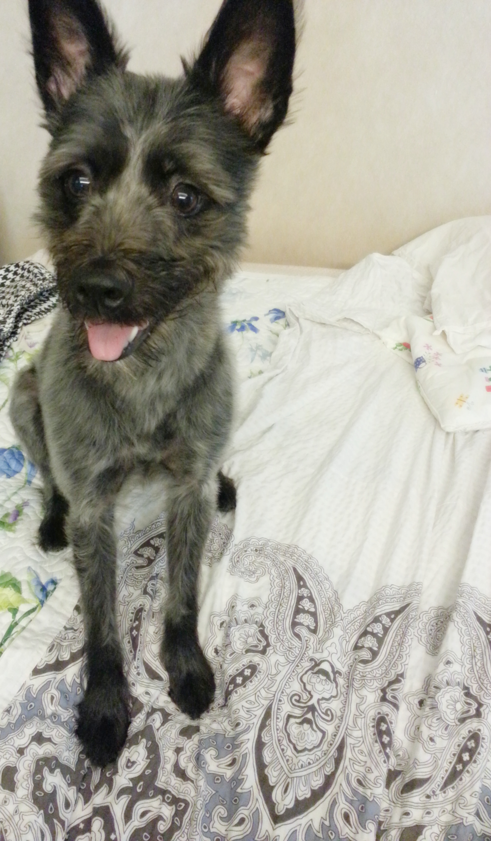 깜지(아미) 여전히 잘 지내고 있어요~