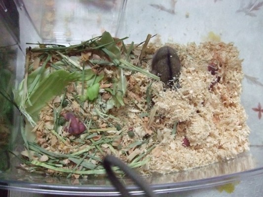 포스터 배포 중단 관련 공지