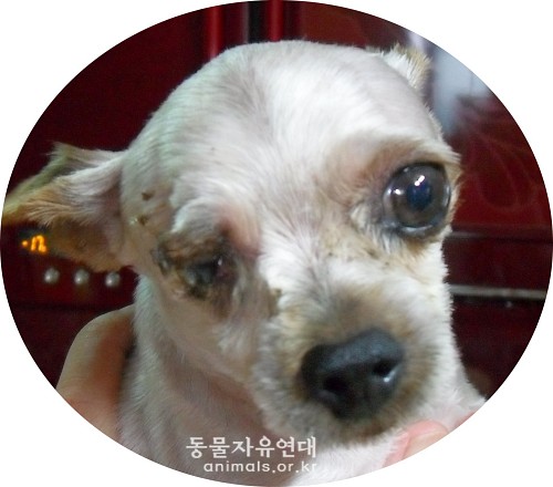<font color=#ff0000>홈페이지이용에 불편을 드려 죄송합니다.
