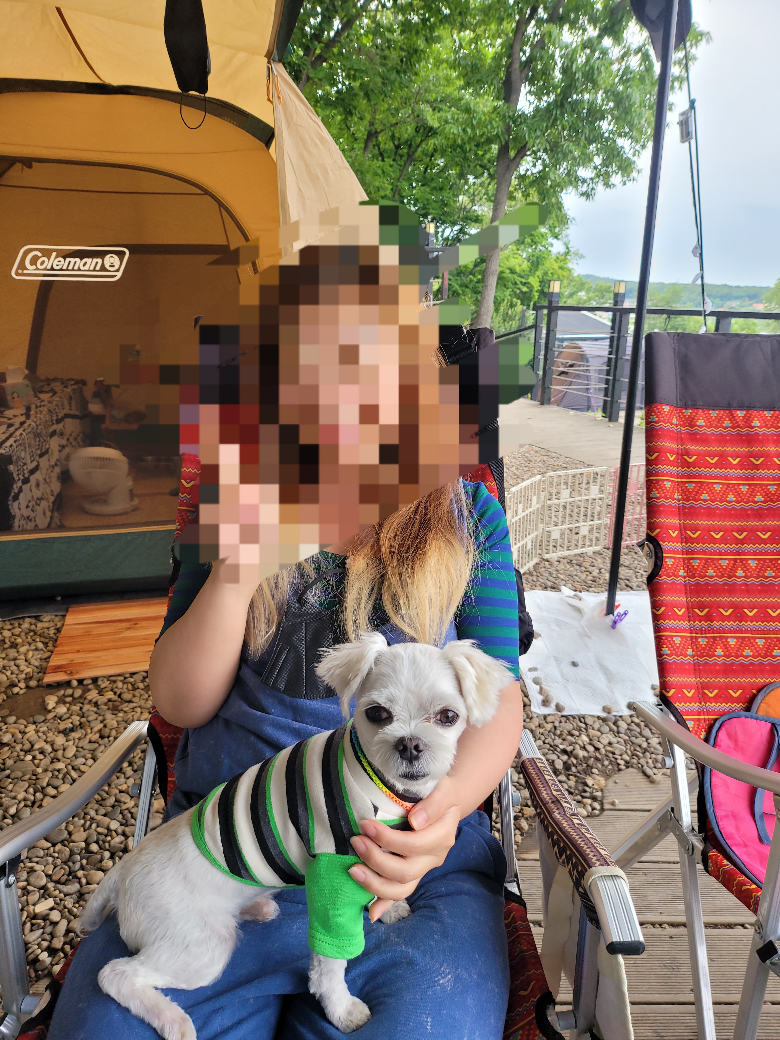 곤지암 길동이 입양 3개월