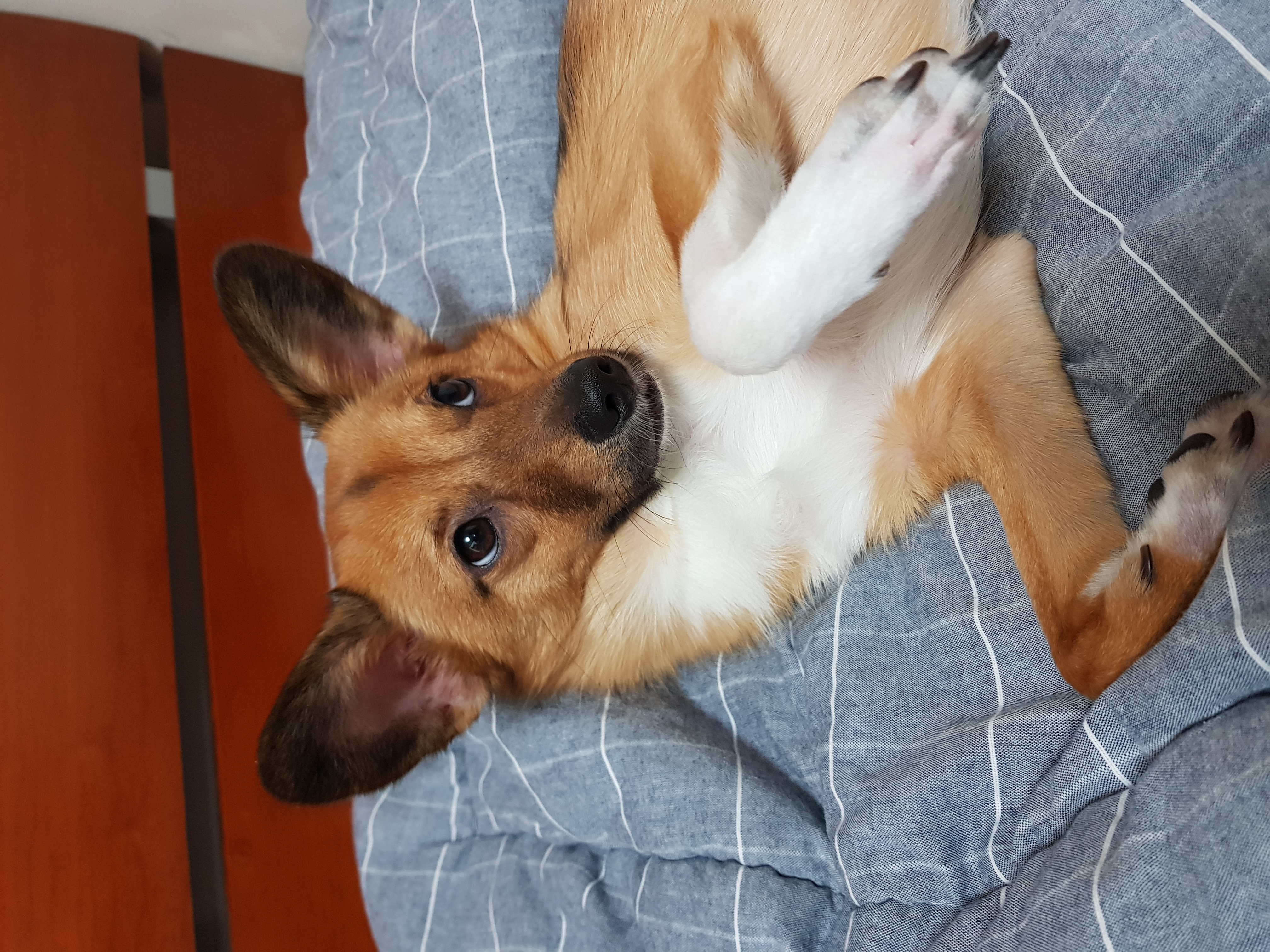 칸의 일년