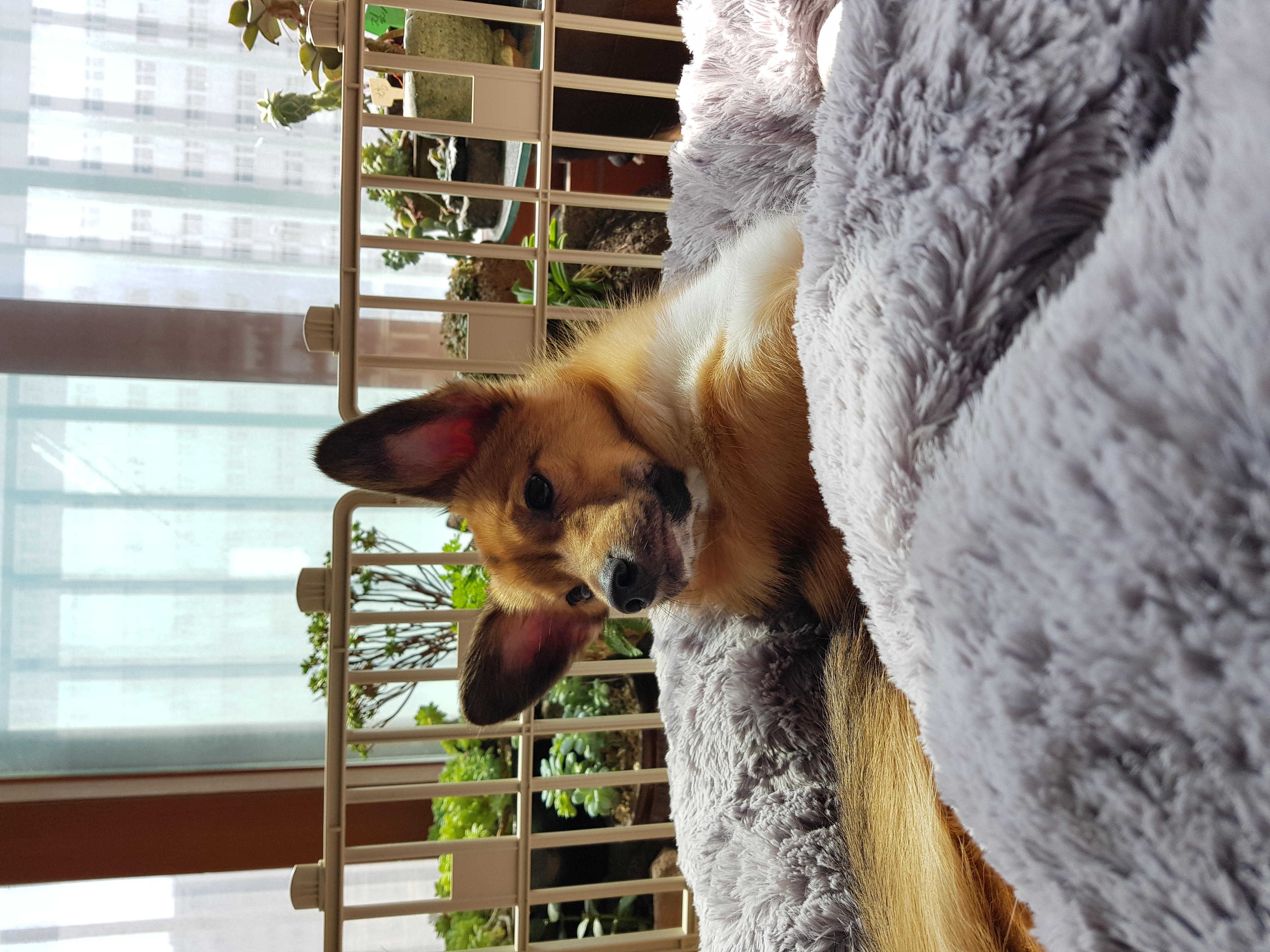 칸의 일년