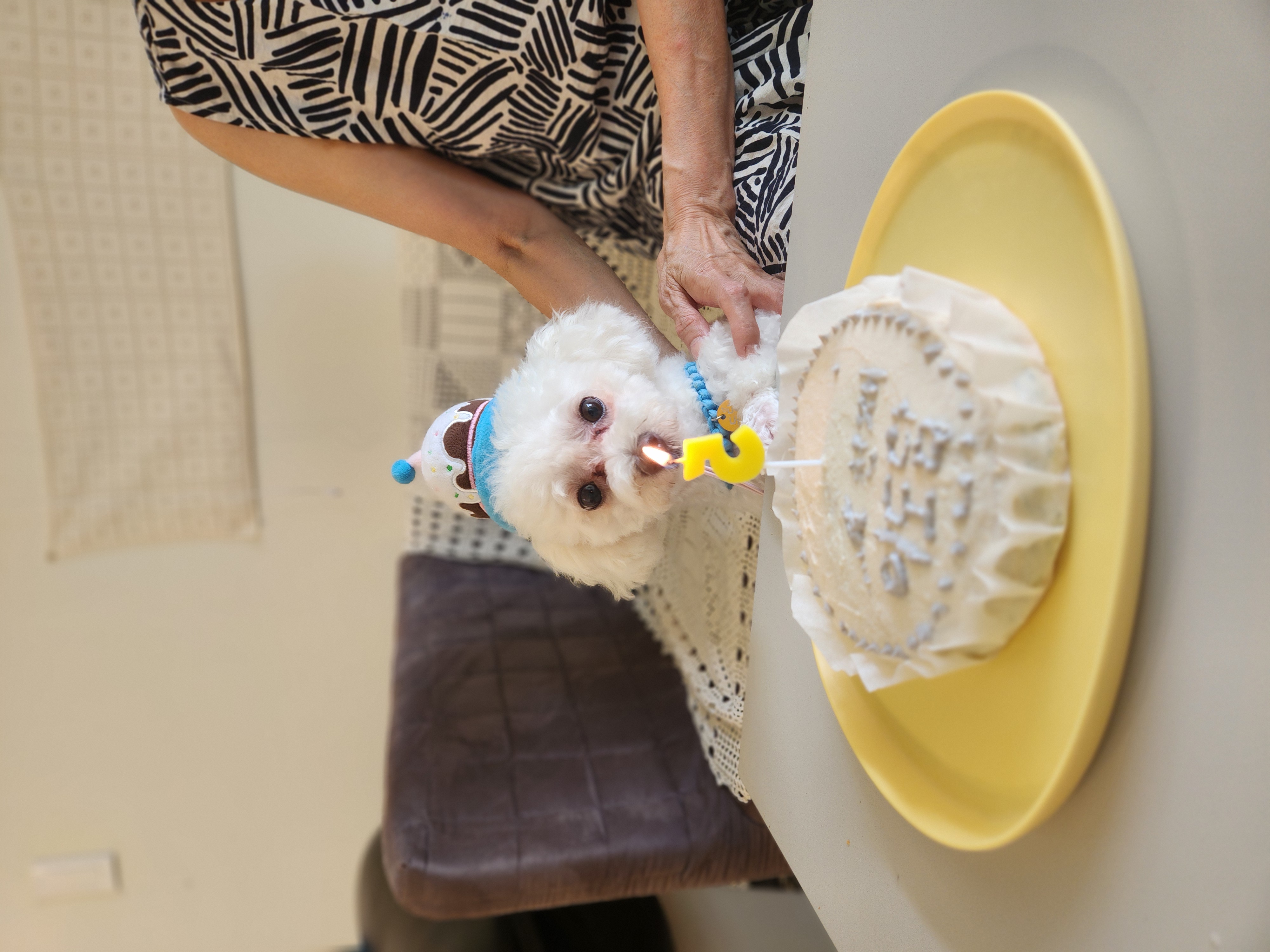 구 말랭..현 도담..1년되는날