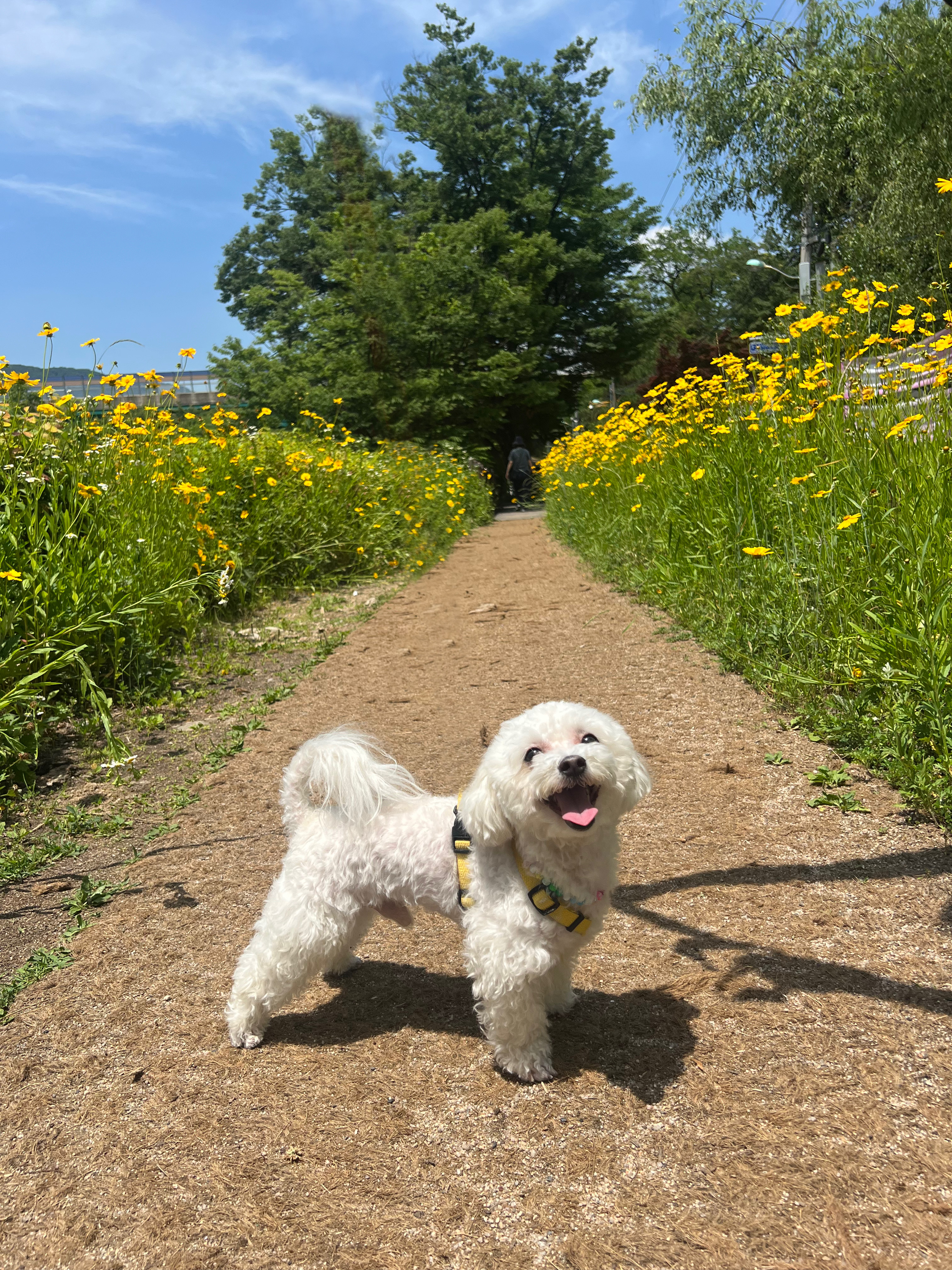 구 말랭..현 도담..1년되는날