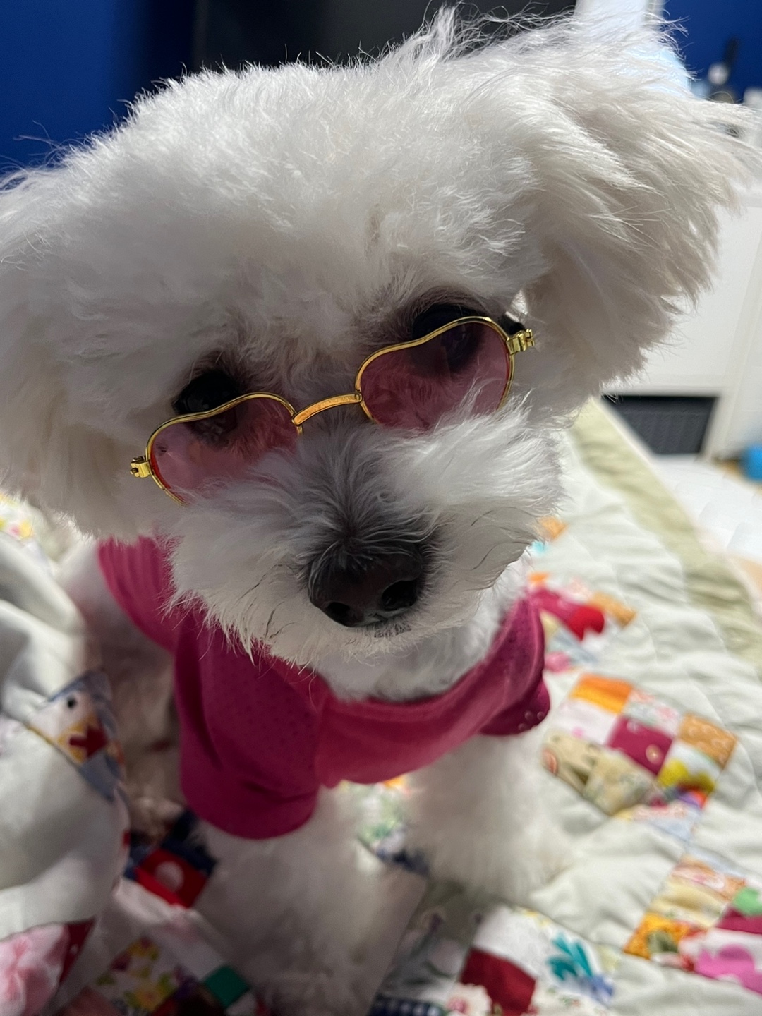 구 말랭..현 도담..1년되는날