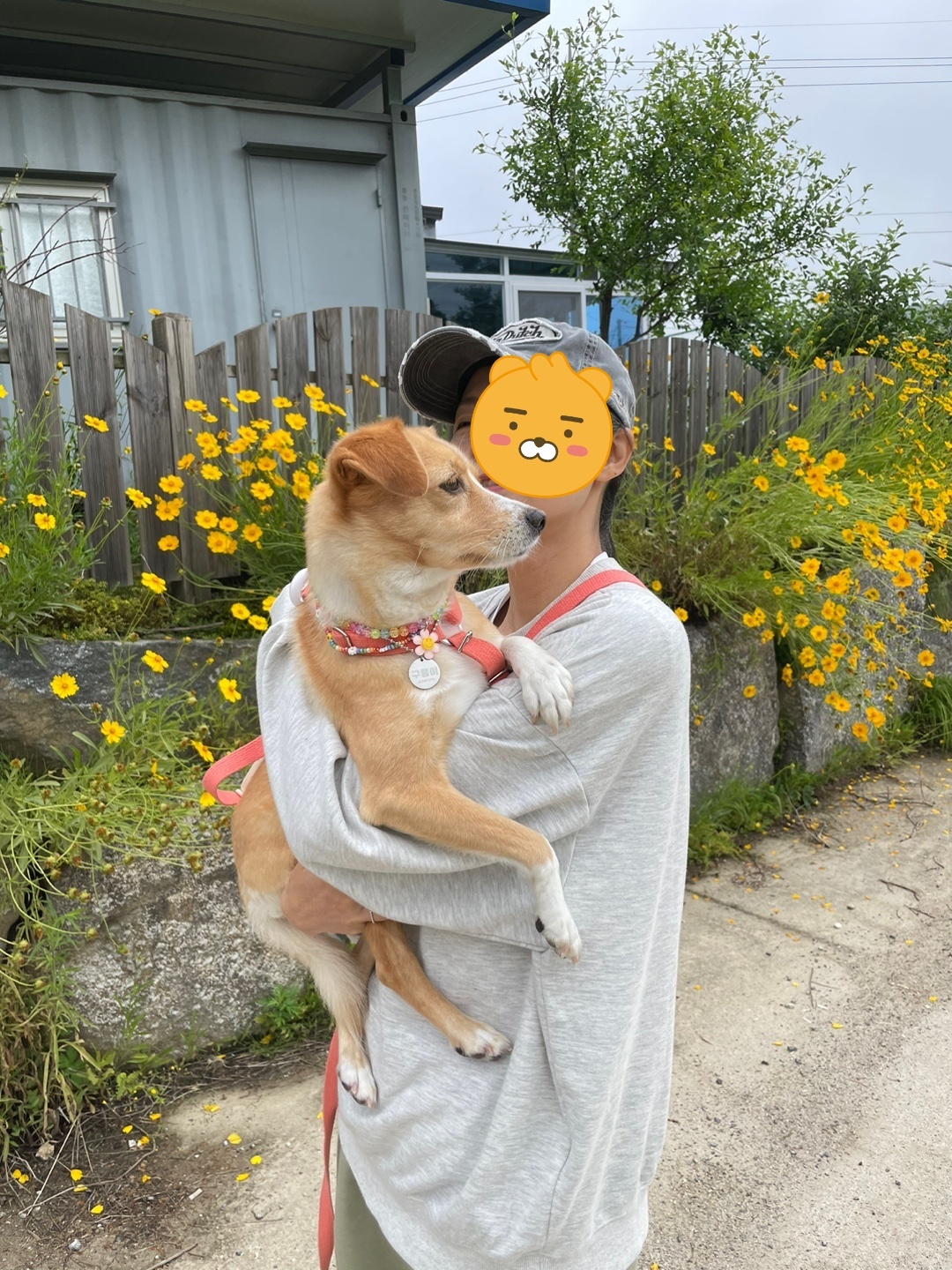 구콩이 입양 1년 됐어요~