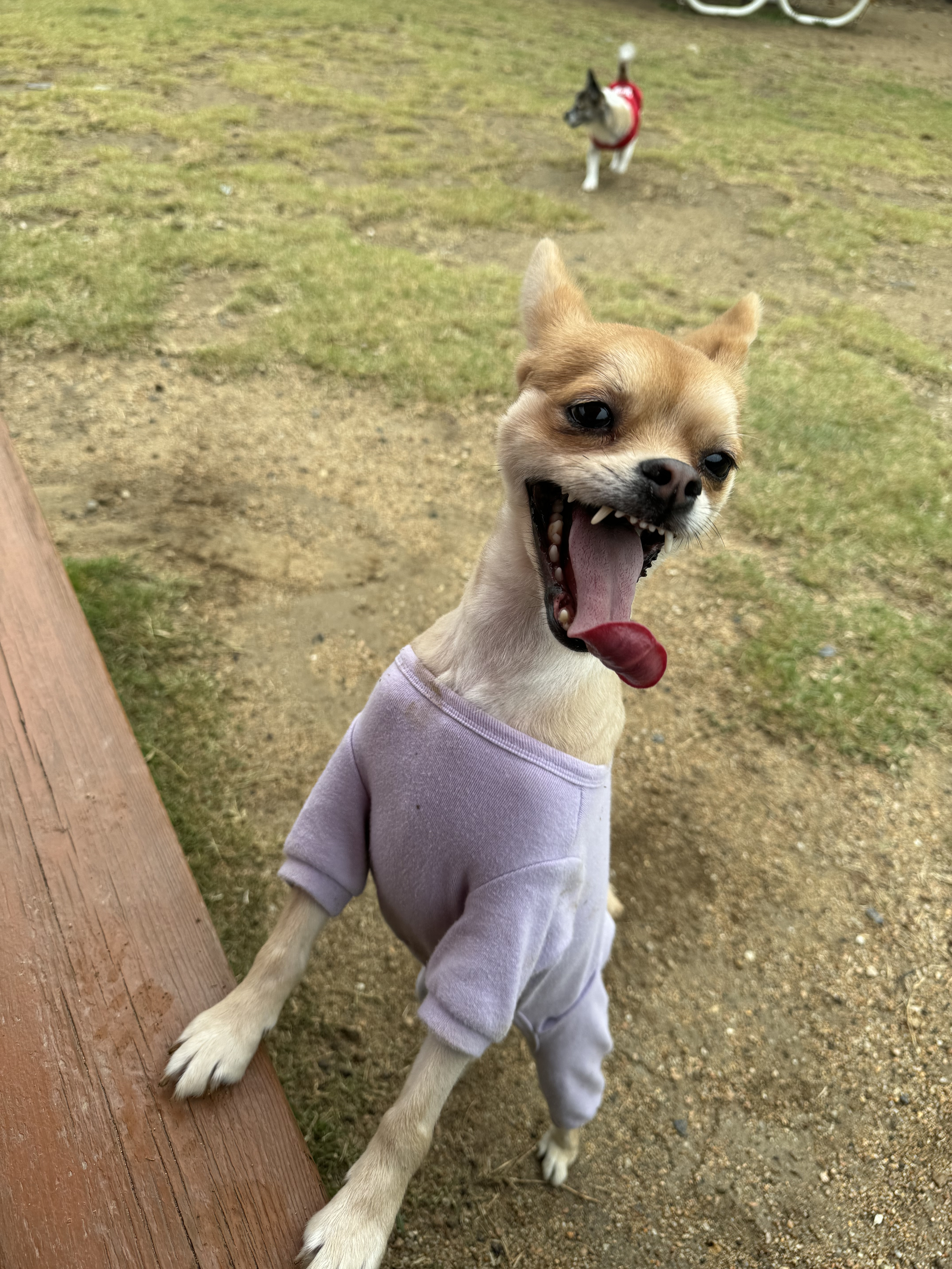 미로(구 오원) 2년 이야기